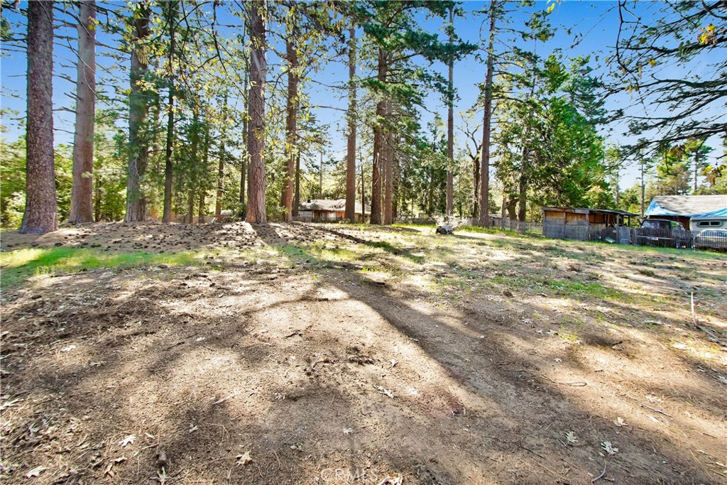 0 Pine Ridge Road Property Photo 2