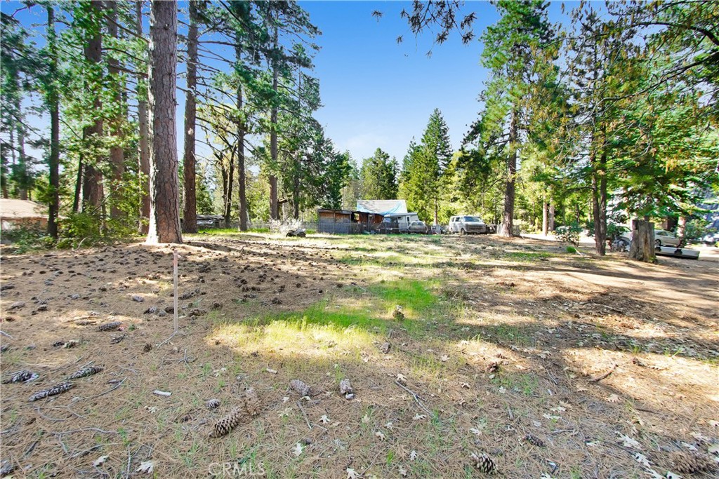 0 Pine Ridge Road Property Photo 3