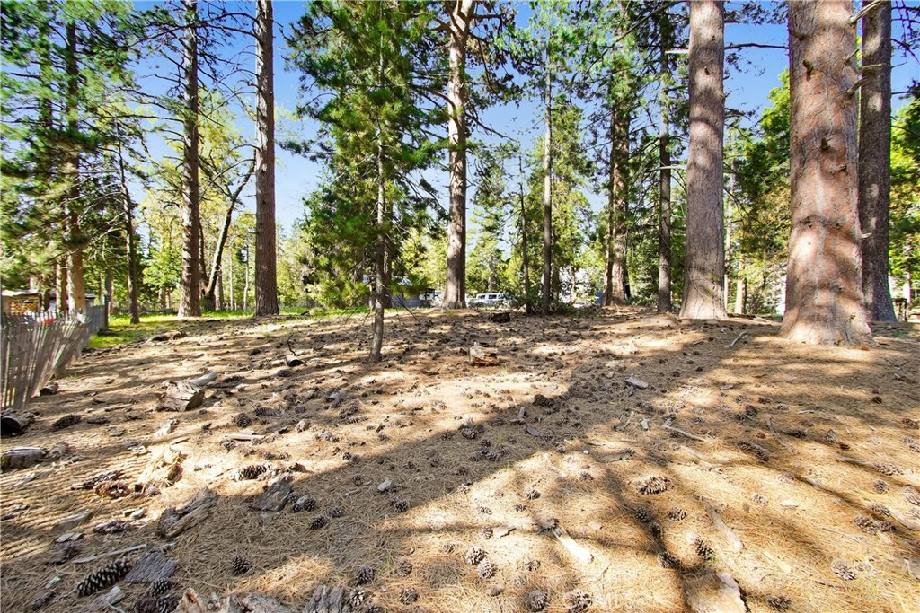 0 Pine Ridge Road Property Photo 4