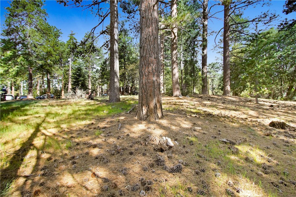 0 Pine Ridge Road Property Photo 5