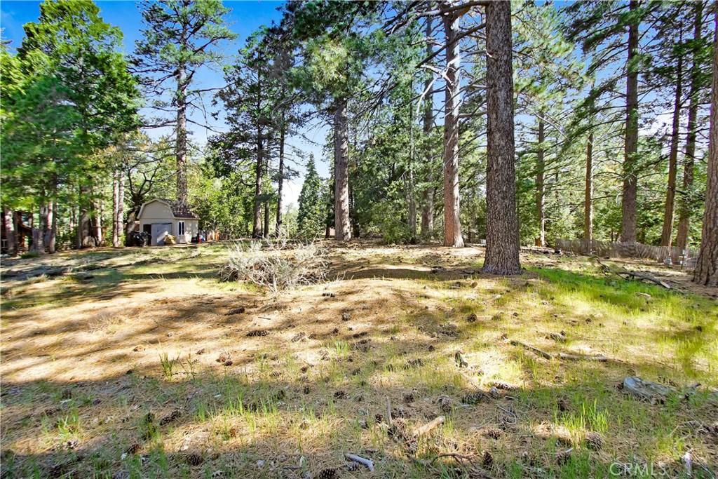 0 Pine Ridge Road Property Photo 6