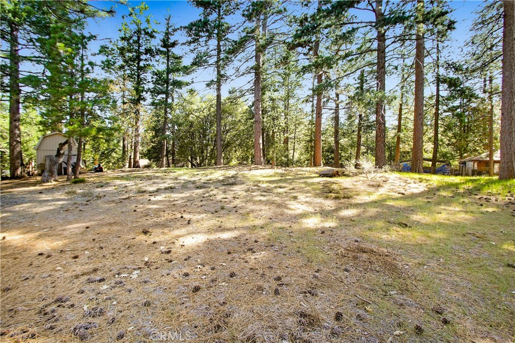 0 Pine Ridge Road Property Photo 7