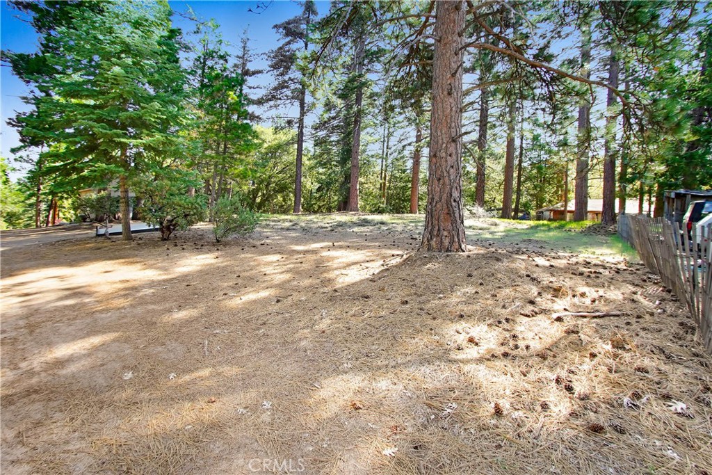 0 Pine Ridge Road Property Photo 8