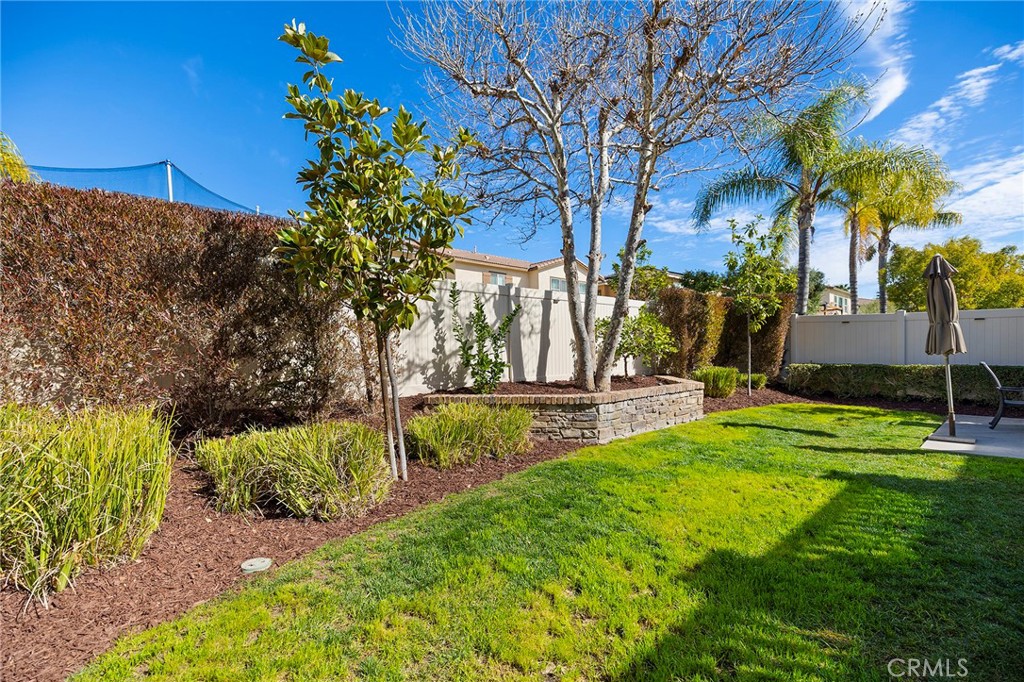 31354 Polo Creek Drive Property Photo 25