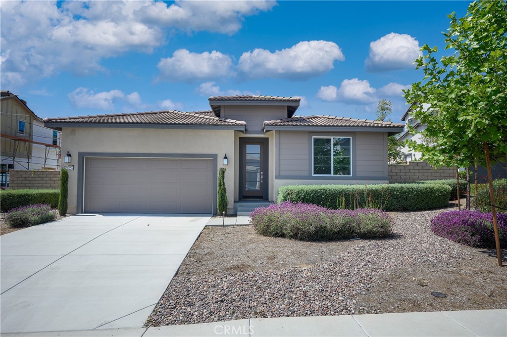 26259 Cherry Plum Circle Property Photo 1