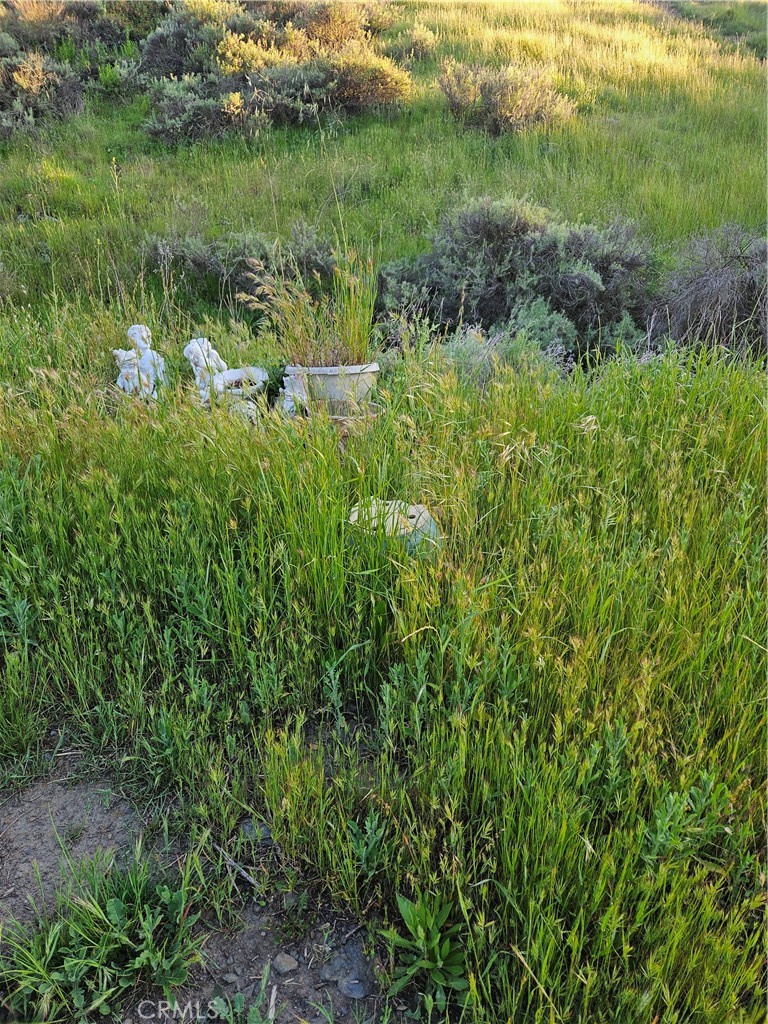 27375 Sycamore Mesa Road Property Photo 2