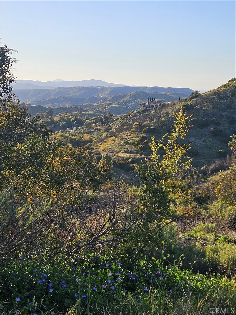 27375 Sycamore Mesa Road Property Photo 4