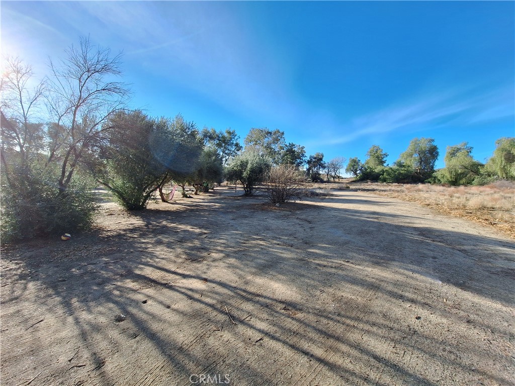 71 Juniper Flats Road Property Photo 4