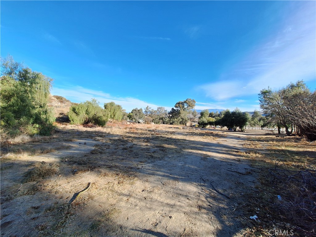 71 Juniper Flats Road Property Photo 8