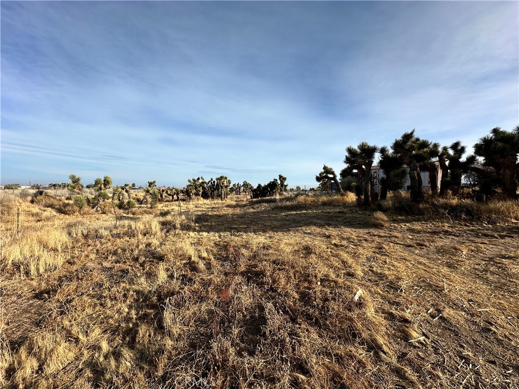 6598 Nielson Road Property Photo 7