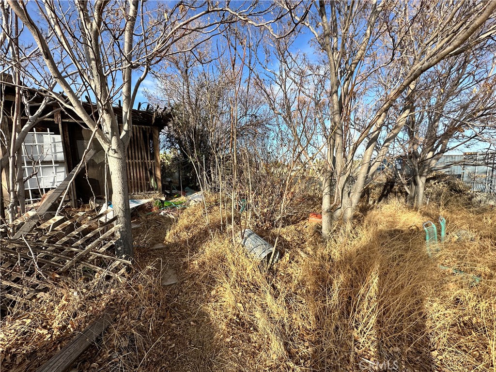 6598 Nielson Road Property Photo 12