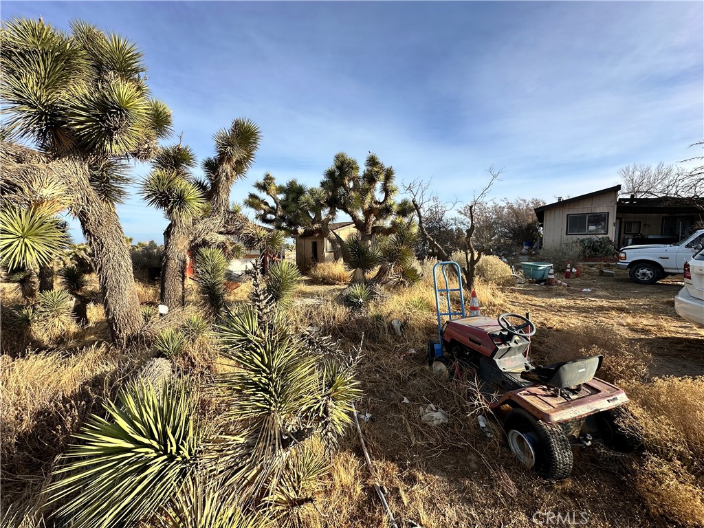 6598 Nielson Road Property Photo 17