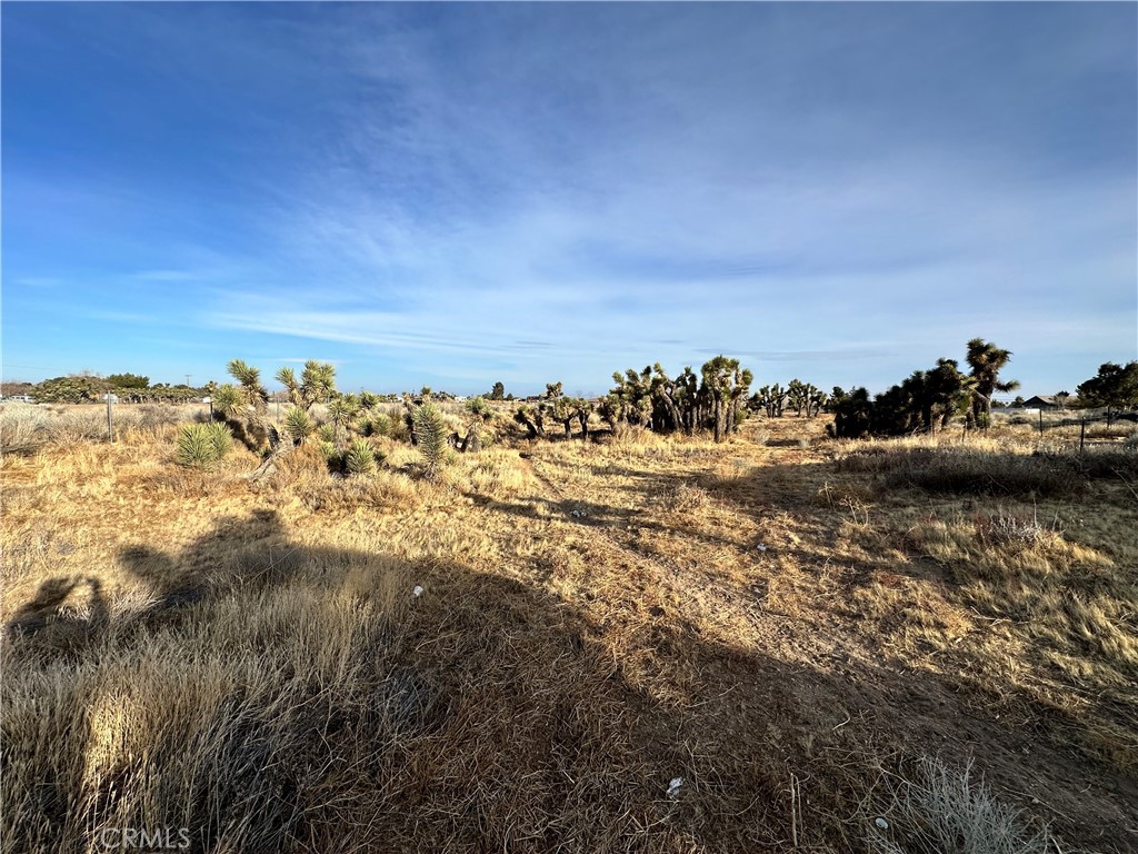 6598 Nielson Road Property Photo 19