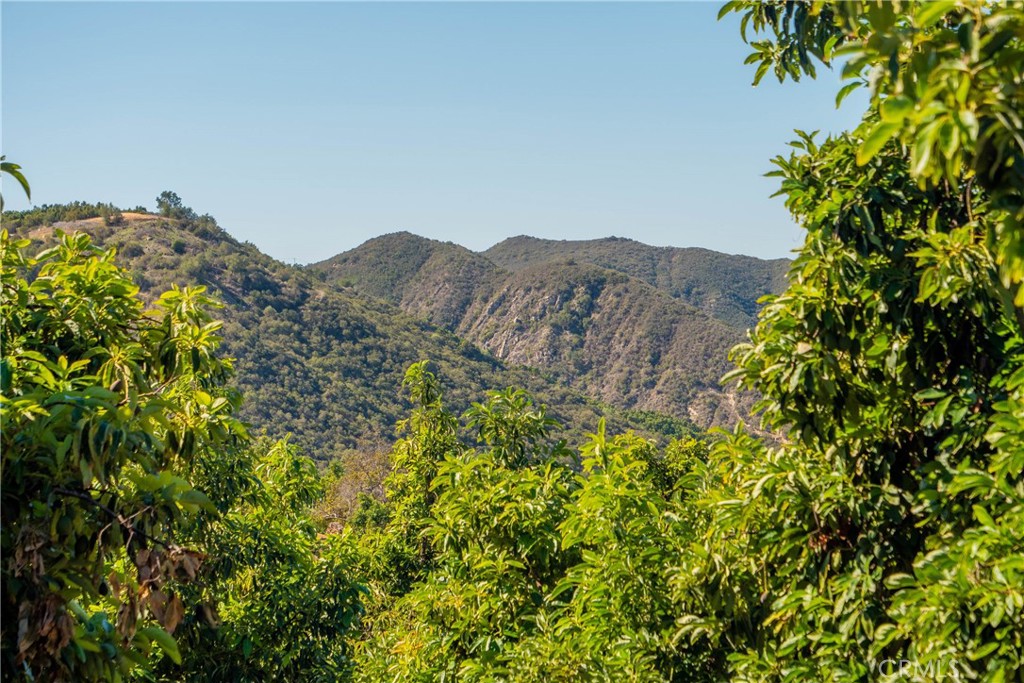 0 Camaron Road Property Photo