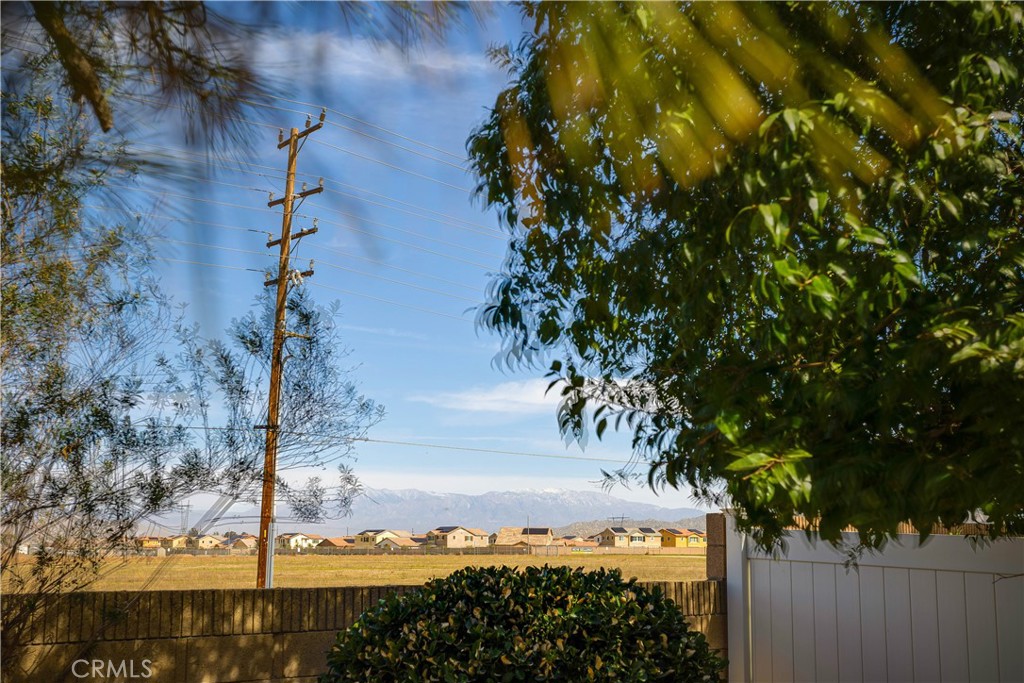 26412 Spaniel Lane Property Photo 33
