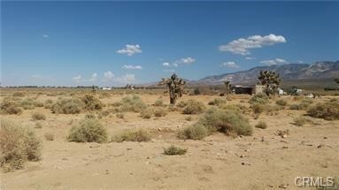 0 Unnamed Property Photo 2
