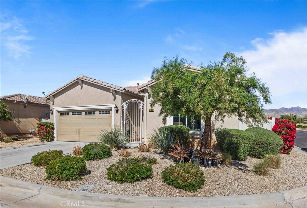 64132 Apache Mountain Street Property Photo