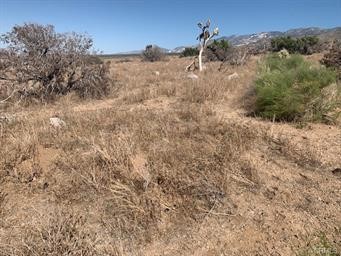 0 Emerald Property Photo 9