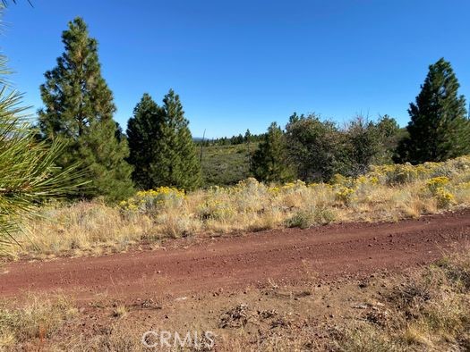 0 Alpine Road Property Photo