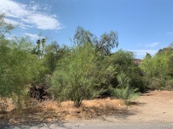 0 Lodge Property Photo 1