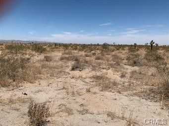 0 El Mirage Road Property Photo 3