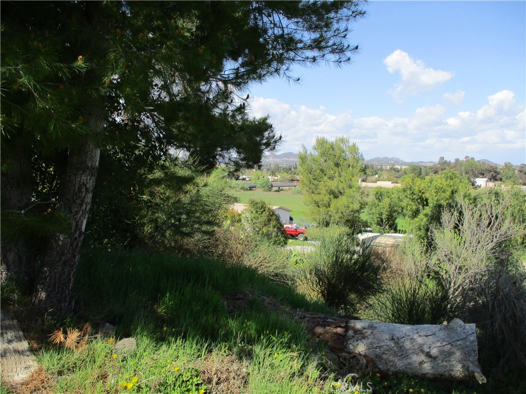 25070 Hayes Avenue Property Photo 19