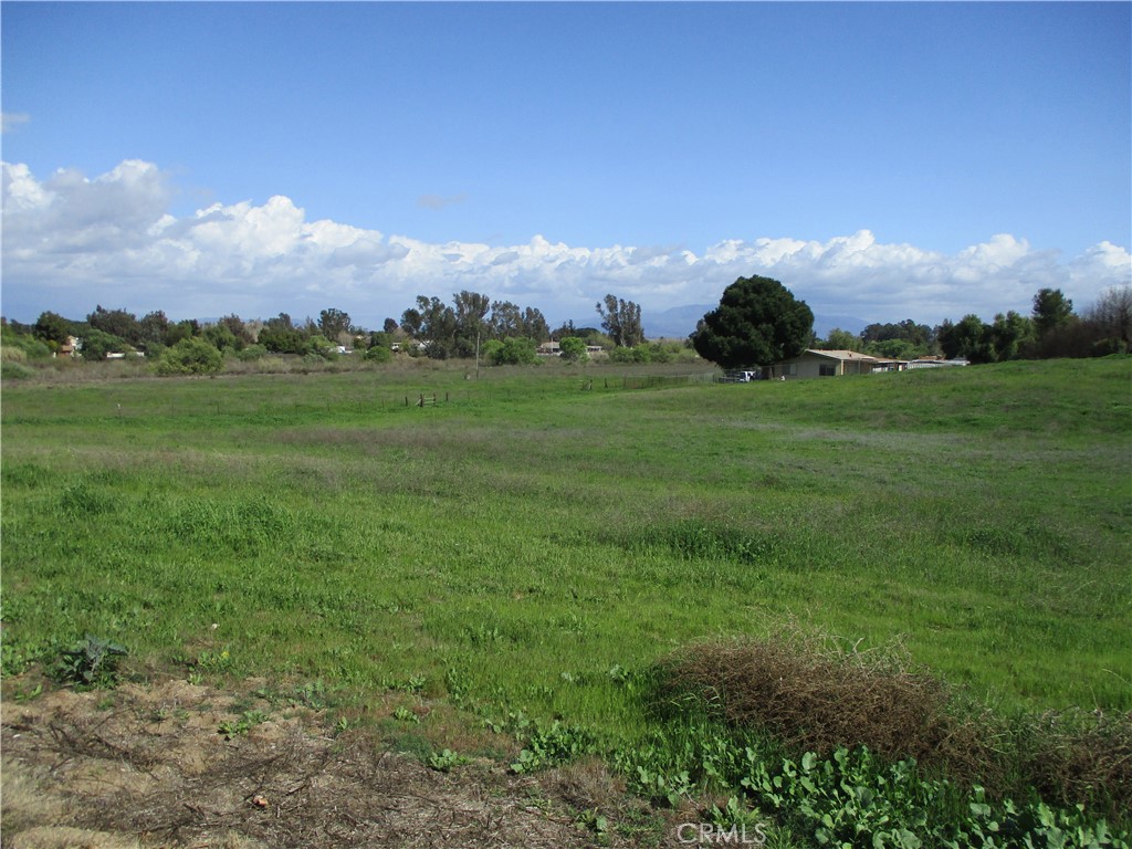25070 Hayes Avenue Property Photo 21