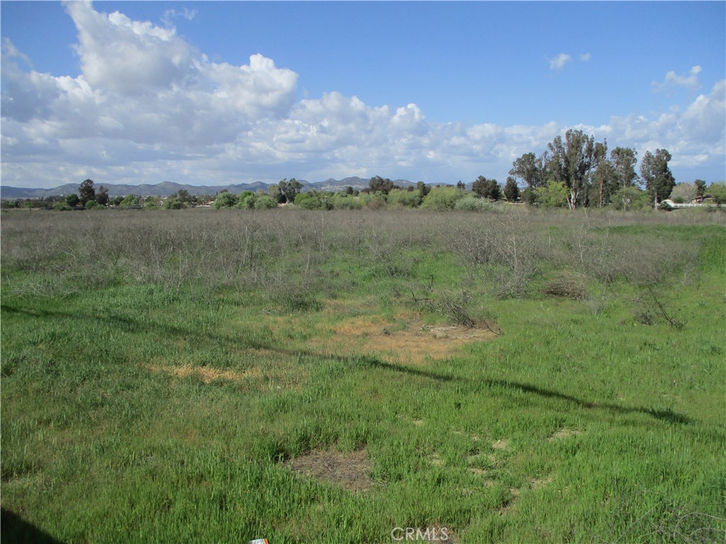 25070 Hayes Avenue Property Photo 27