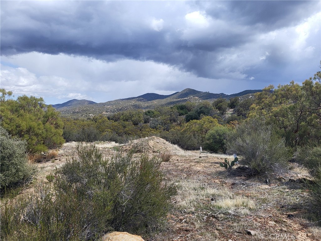 46600 Terwilliger Road Property Photo 7