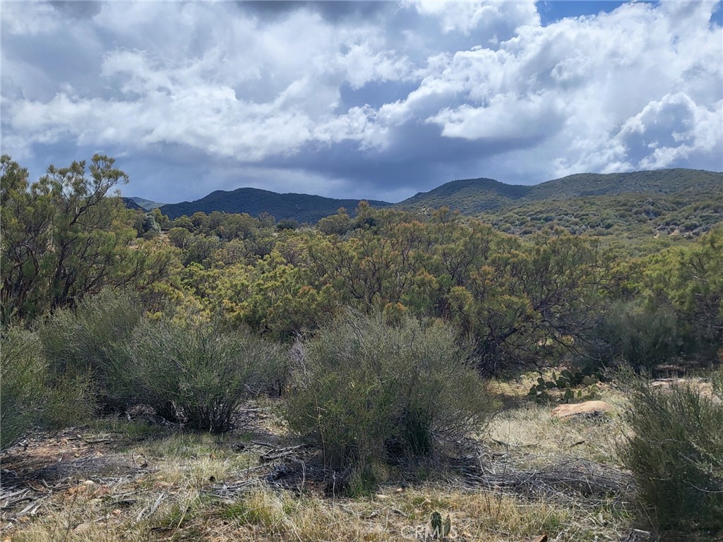 46600 Terwilliger Road Property Photo 13