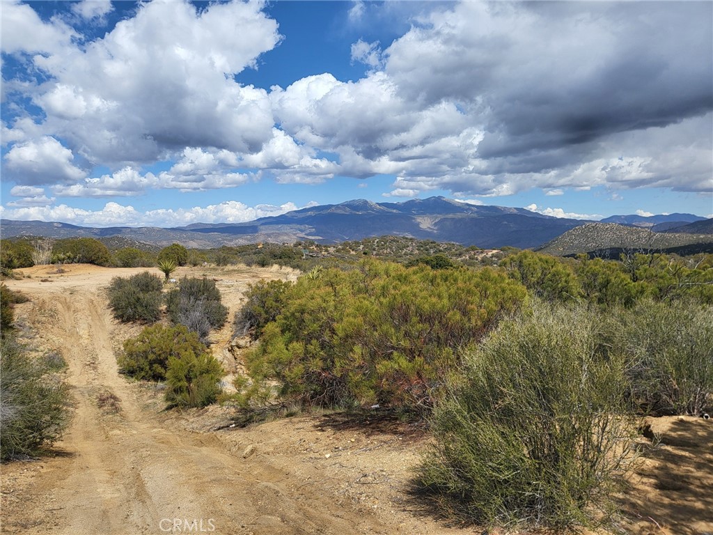 46600 Terwilliger Road Property Photo 16