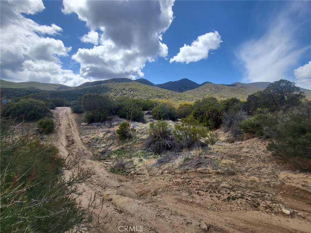 46600 Terwilliger Road Property Photo 19