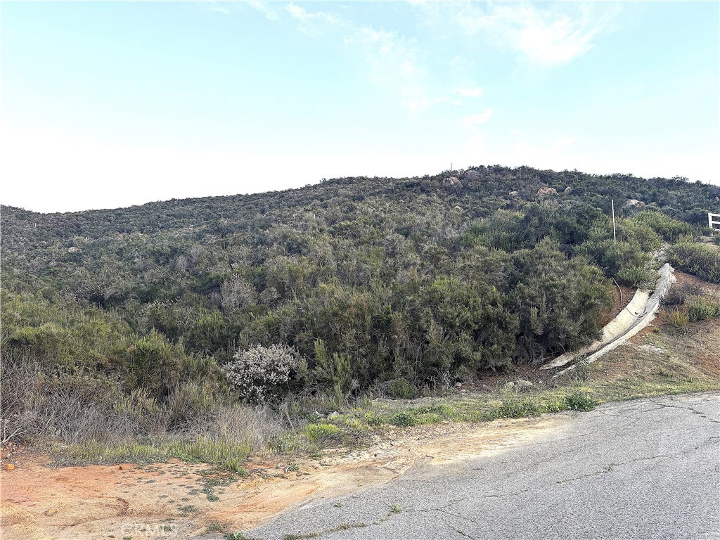 0 Corte Rancho Ariba Property Photo 1