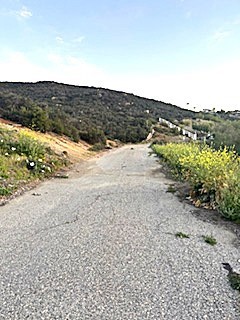 0 Corte Rancho Ariba Property Photo 5
