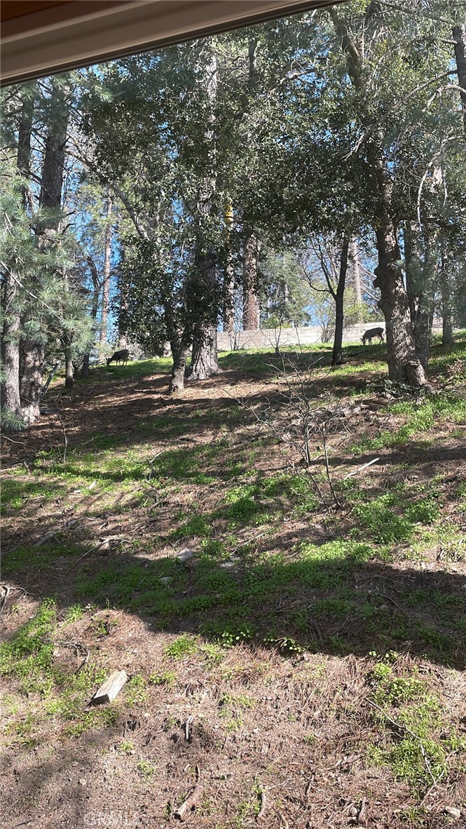 781 Arbula Drive Property Photo 29