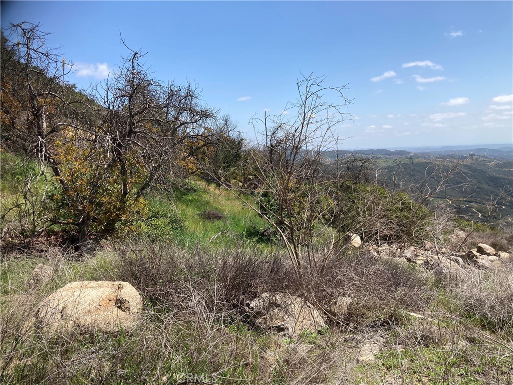 3 Daneri Lane Property Photo