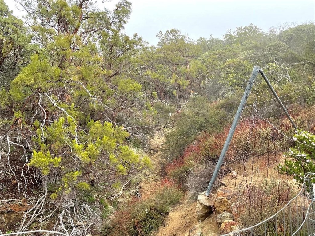 0 Quartz Property Photo 7