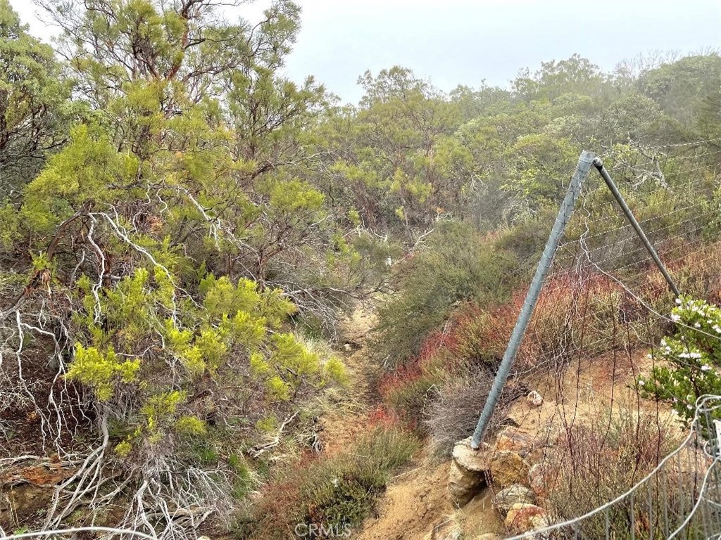 0 Quartz Property Photo 7