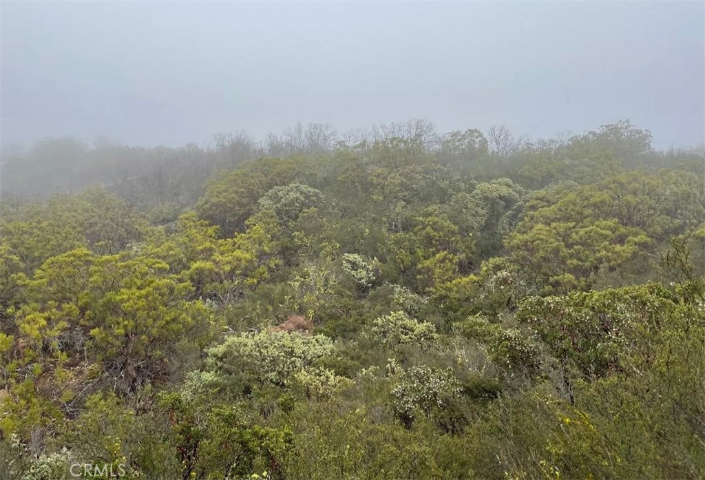 0 Quartz Property Photo 8