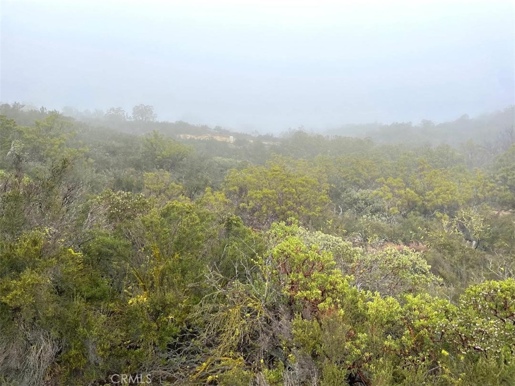 0 Quartz Property Photo 14