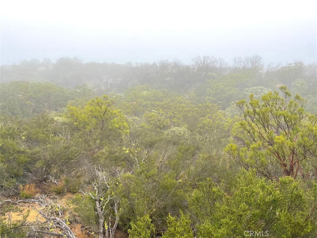 0 Quartz Property Photo 15