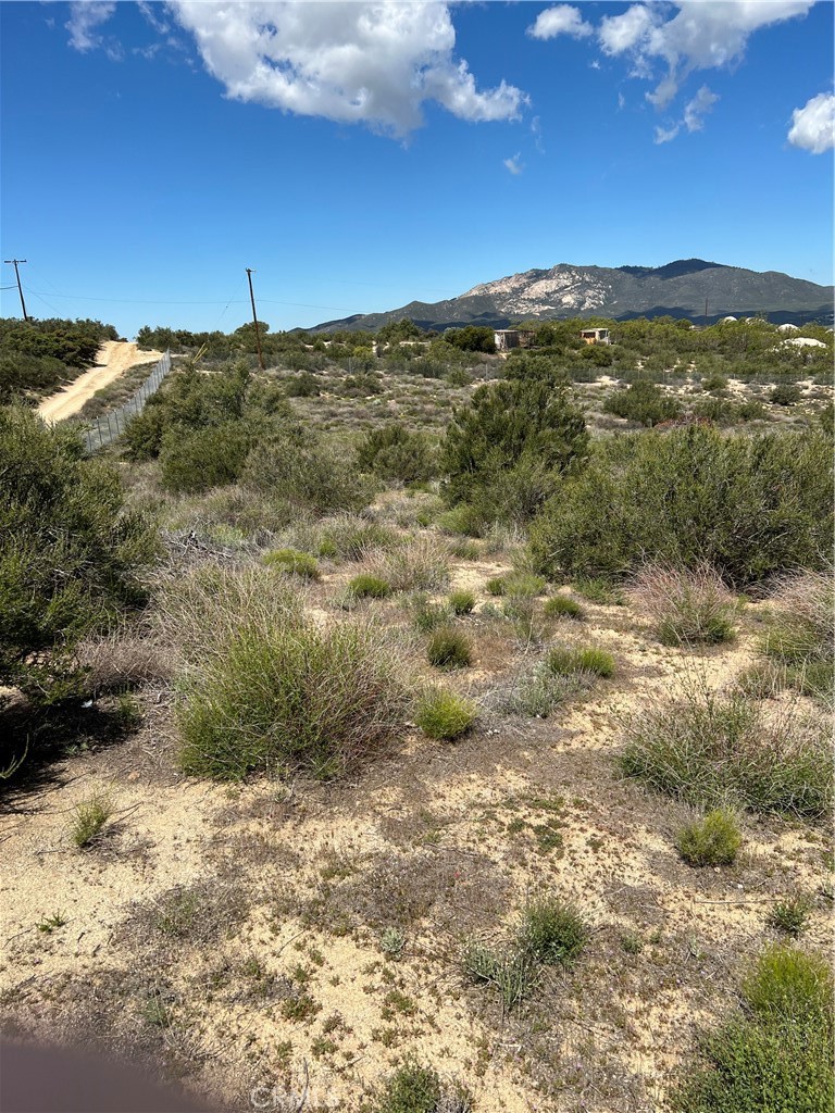 0 Scouts Lane Property Photo 2
