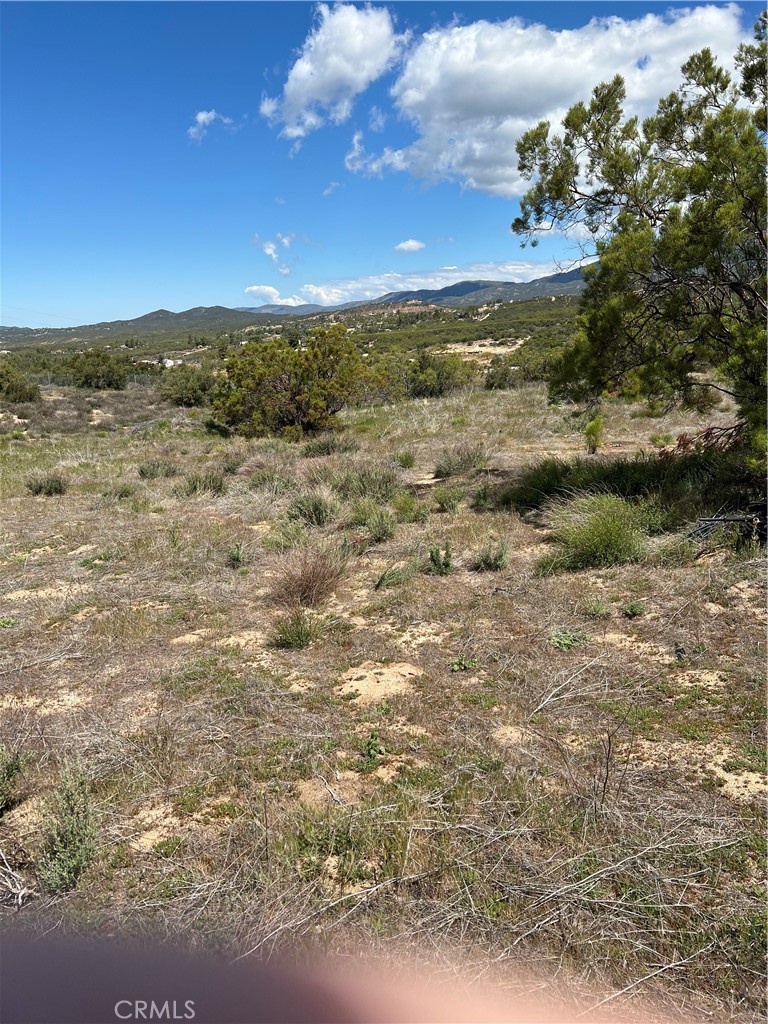 0 Scouts Lane Property Photo 7