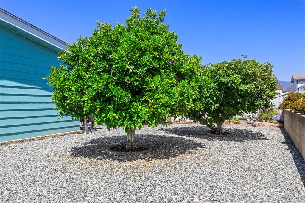 43609 Jared Lane Property Photo 28