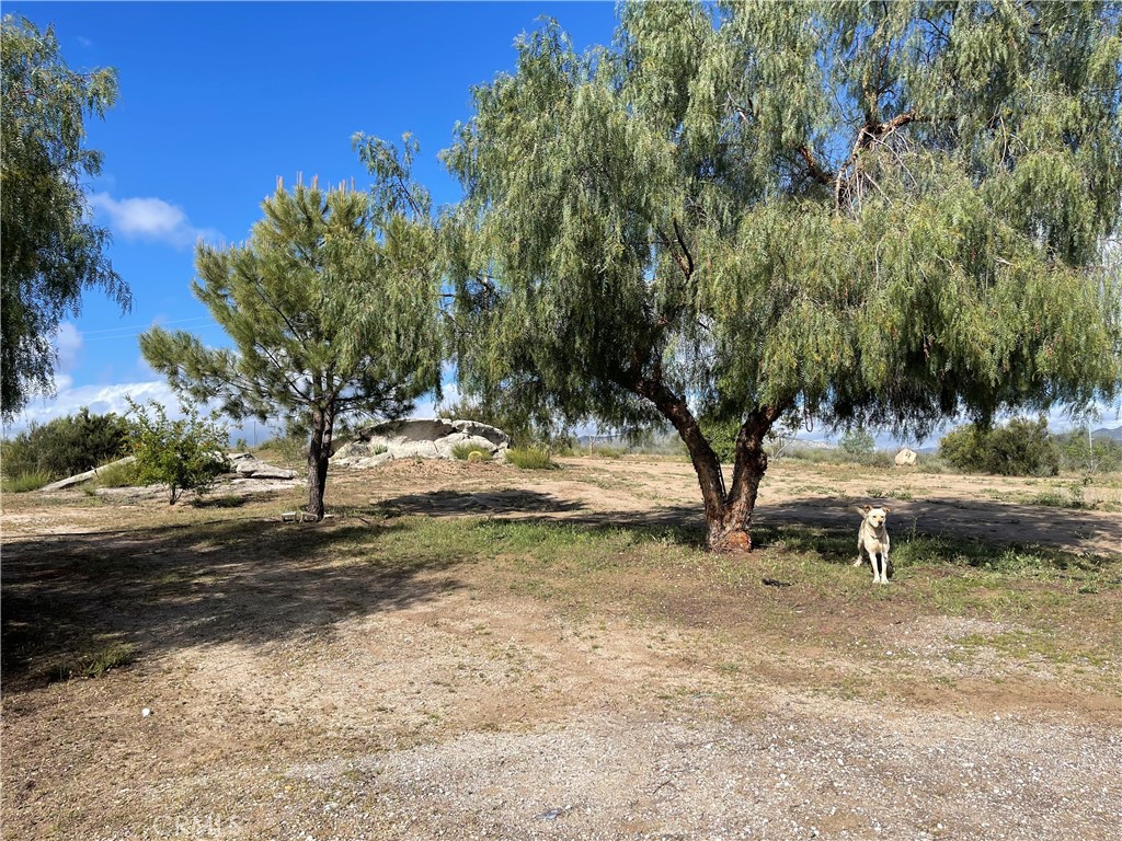 35125 Hobbiton Road Property Photo 27
