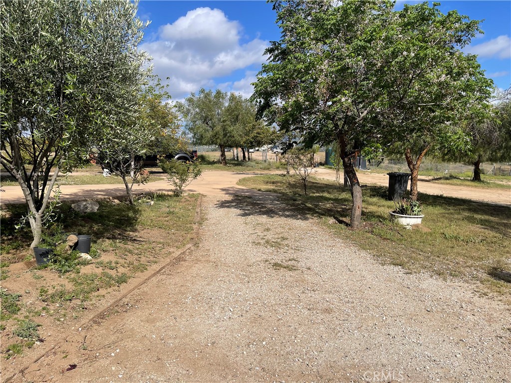 35125 Hobbiton Road Property Photo 29