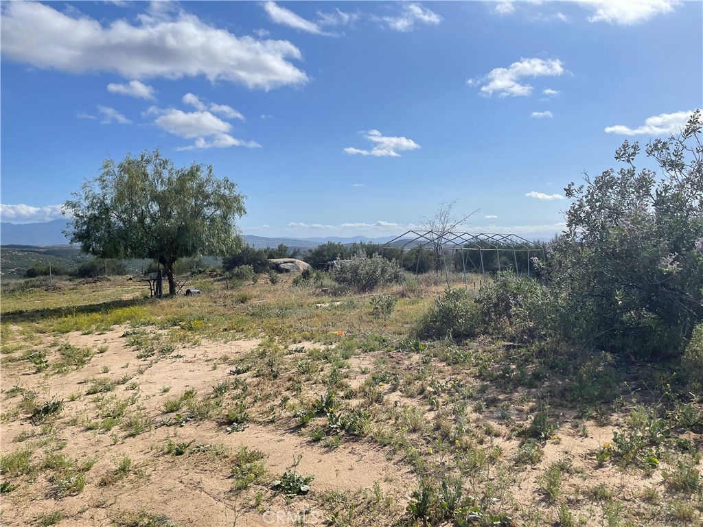 35125 Hobbiton Road Property Photo 30