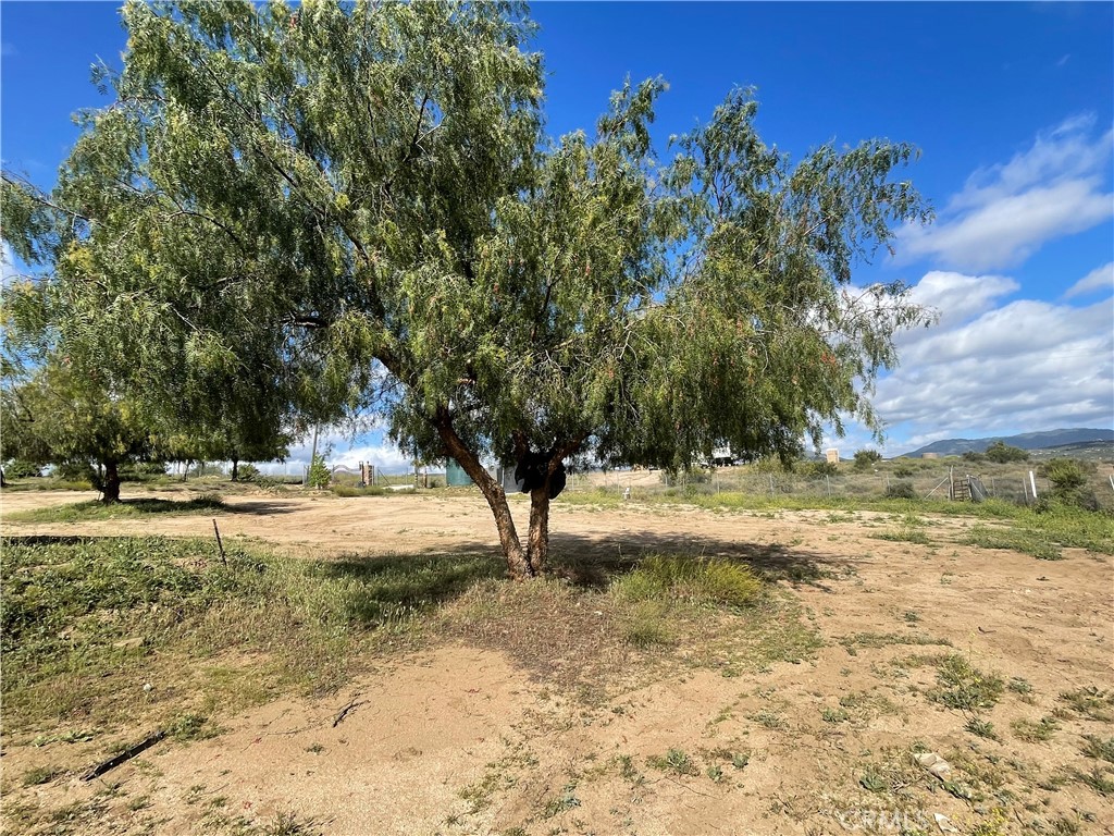 35125 Hobbiton Road Property Photo 31