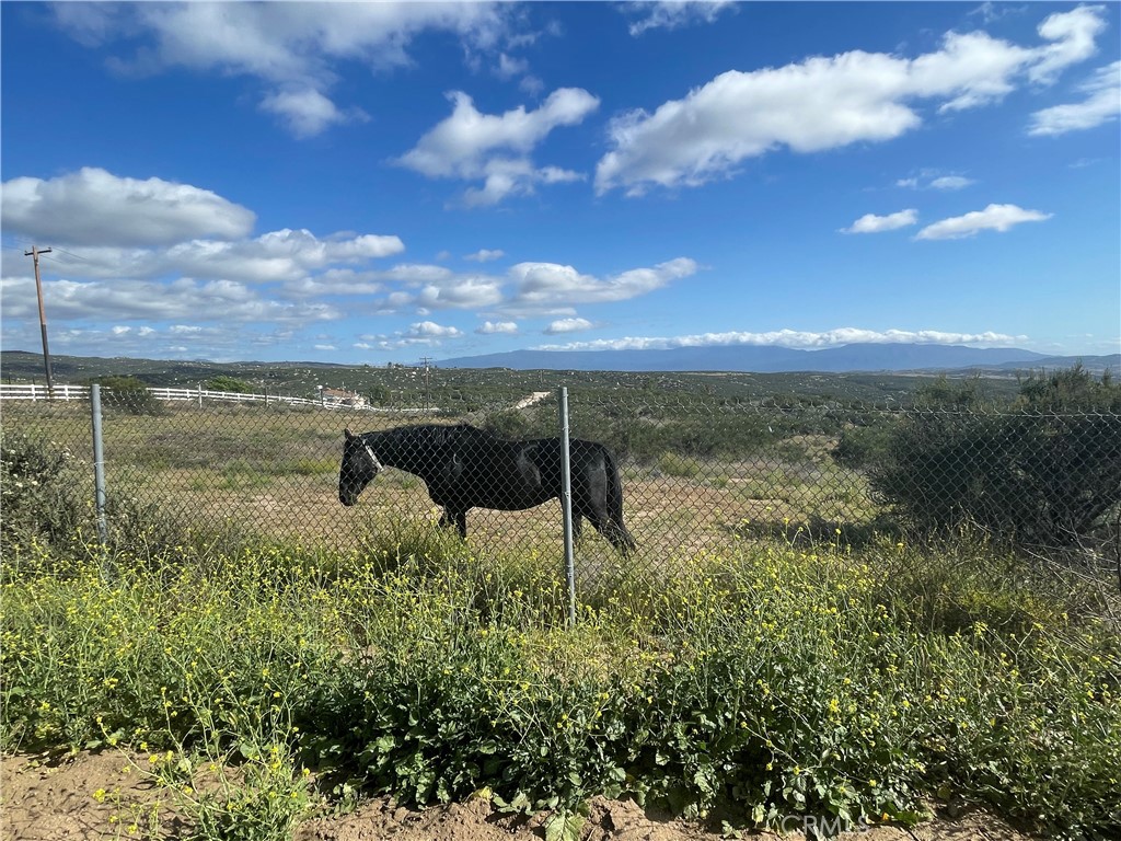 35125 Hobbiton Road Property Photo 32