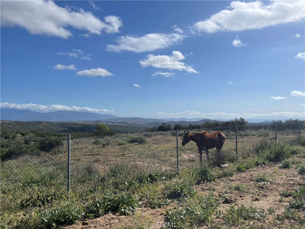 35125 Hobbiton Road Property Photo 33